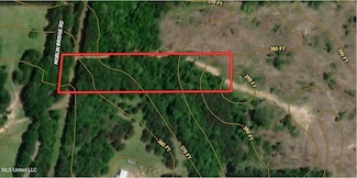 3.00 Noblin Bridge Rd, Pelahatchie, MS 39145
