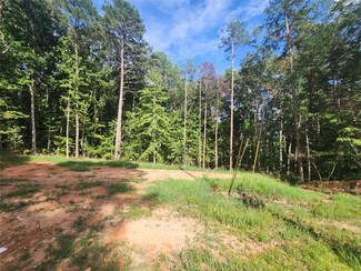 350 Country Club Dr, Toccoa, GA 30577