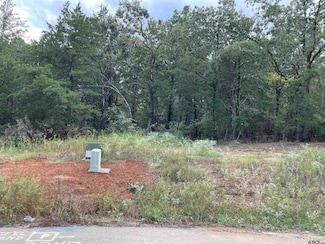 TBD Cedarpark Place, Lindale, TX 75771