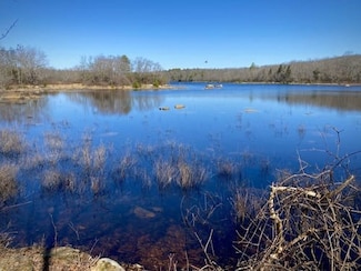 74 Blue Pond Trail, Hope Valley, RI 02832