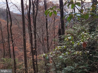 0 Bear Cove Unit NCSW2000014, Bryson City, NC 28713
