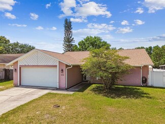 12710 Trucious Place, Tampa, FL 33625