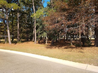 102 Blessing Dr, Bluffton, SC 29909