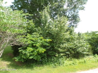 0 Bradford Village Way, Kingston, TN 37763