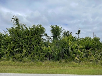 11216 Carnegie Ave, Englewood, FL 34224