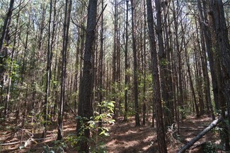 17 County Road 17 Cr, Reform, AL 35481