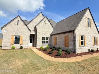 3164 Winterwood Dr, Hernando, MS 38632