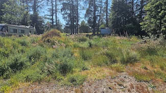 247 xx Birch Place, Ocean Park, WA 98640