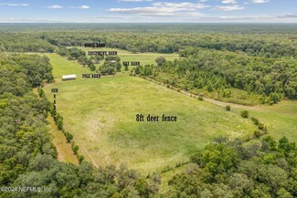 601 Harris Fish Camp Rd, Georgetown, FL 32139