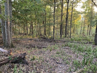 0 Harnisch Rd Unit RTC2890627, Clifton, TN 38425