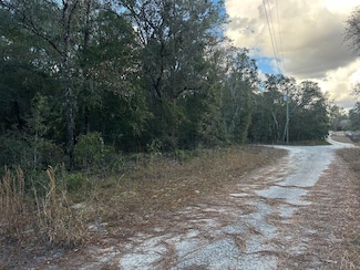 0 NE 73rd Ln, East Bronson, FL 32621