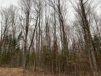Parcel A Easement Rd, Mercer, WI 54547