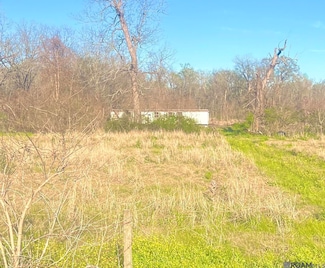 8330 Bueche Rd, Bueche, LA 70729