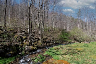 1112 Beech Creek Rd, Robbinsville, NC 28771