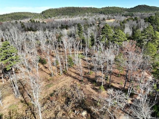 Tract 4 Acheson Ln, Mena, AR 71953
