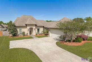 13199 Cypress Swamp Dr, Geismar, LA 70734
