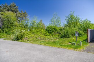 11 Drake Ln, Moclips, WA 98571