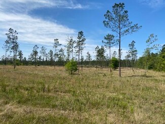 0 Harvey Parker Rd, Ragley, LA 70657