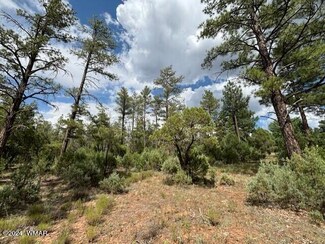 2140 N Whispering Trail Unit Lot 2, Show Low, AZ 85901
