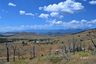 TBD 25th Trail, Texas Creek, CO 81223