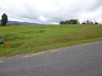 Lot 4 Ridge Dr, Lebanon, VA 24266