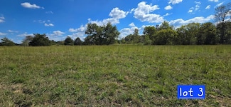 Lot 3 Austin Bottom Rd, Baxter, TN 38544