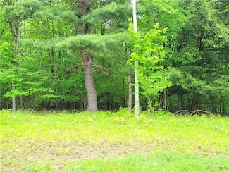 0 Cr-24- Lot 18, Grove, NY 14884
