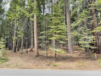 6 Shoshone Dr, Camp Connell, CA 95223