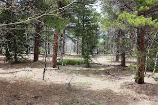 Lot 10 Pinon Cir Unit 10, Black Hawk, CO 80422