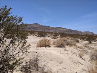 0 None Ave Unit IV21146873, 29 Palms, CA 99999