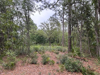 0 S Slash Pine Ave Unit MFRTB8385021, Homosassa Springs, FL 34446