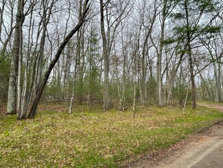 0 Private Dr Unit 23014511, Bitely, MI 49309
