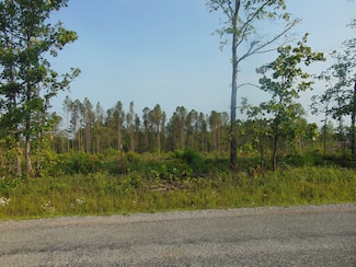 184 Barnesville Rd, Summertown, TN 38483