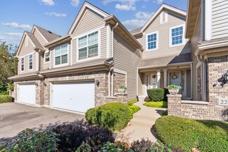 222 River Mist Ct Unit 2, Oswego, IL 60543