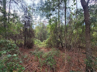 0 Bridge Creek Rd Unit 548615, Prattville, AL 36067