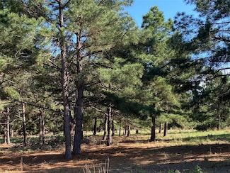 147 Oak Leaf Dr, Bastrop, TX 78602