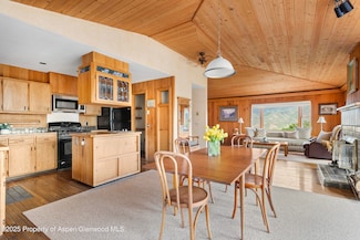2020 Juniper Hill Dr, Aspen, CO 81611
