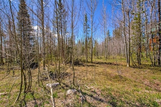 516 Royal Red Bird Dr, Silverthorne, CO 80498