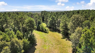 TBD Sue Belle Rd, Marshall, TX 75670