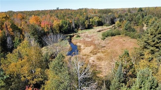 9729 W Moose Lake Rd, Round Lake, WI 54843