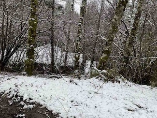 22510 NE Alder Falls Rd, Battle Ground, WA 98604