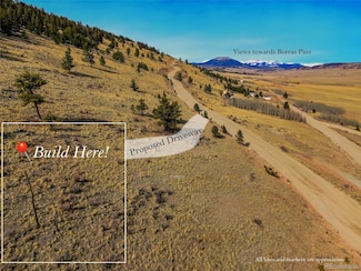 000 Middle Fork Vista Unit 487, Fairplay, CO 80440