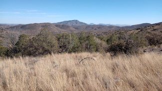 209 High Meadow Trail, Fort Davis, TX 79734