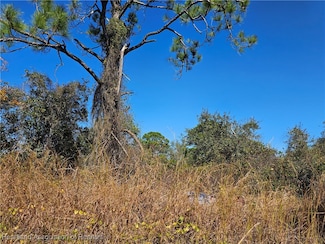 406 Hollow Ln, Lake Placid, FL 33852