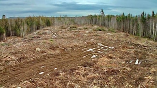 L1 Lively Brook Acres, Whiting, ME 04691