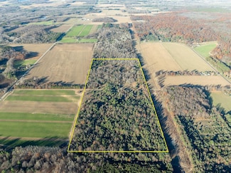 0 E Hammett Rd, Crystal Township, MI 49420