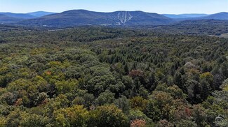 80 Begley Rd, Windham, NY 12496