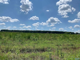 2 County Road 508, Fort Payne, AL 35967