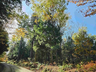 47 Highbridge Rd, Lyme, NH 03768