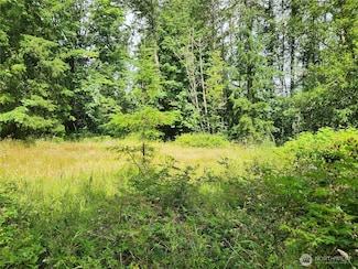 4 XX 239th Ave NE, Sammamish, WA 98074